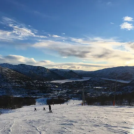 Feriehus Draumebu *